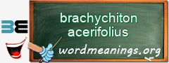 WordMeaning blackboard for brachychiton acerifolius